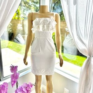 Laila Azhar White Strapless Sheath Dress Size 0
